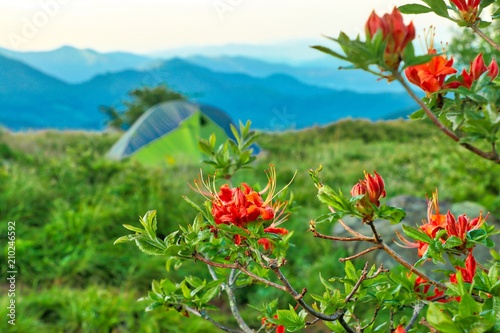 Fotografía Tent camping on the Appalachian trail on Roan Mountain