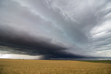 A Line Of Heavy Thunderstorms Fills The Sky Over A Wheat Field In Eastern Colorado.