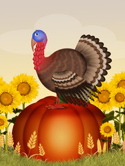 Canvas Print - turkey on pumpkin