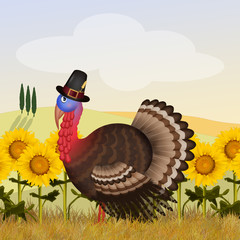 Wall Mural - funny turkey in the sunflowers field