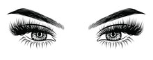 Hand-drawn Woman's Sexy Makeup Look With Perfectly Perfectly Shaped Eyebrows And Extra Full Lashes. Idea For Business Visit Card, Typography Vector. Perfect Salon Look