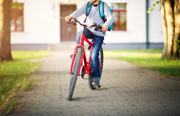 Wall Mural - child on a bicycle at asphalt road in early morning. Boy on bike near school