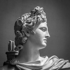 Wall Mural - Apollo Belvedere statue.