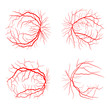 eye vein set system x ray angiography vector design isolated on white