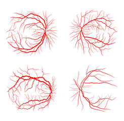 Wall Mural - eye vein set system x ray angiography vector design isolated on white