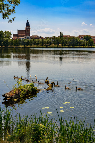 Fotografie, Obraz Gänsefamilie auf dem Tiefwarensee, im Hintergrund die Silhouette von Waren mit der Kirche St