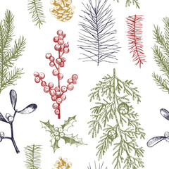 Vector  seamless pattern with hand drawn Christmas plants