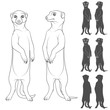 Set of black and white illustrations depicting the meerkats. Isolated vector objects on white background.