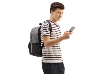 Wall Mural - Teenage student with a phone