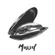 Vector engraved style illustration for posters, decoration and print. Hand drawn sketch of mussel in monochrome isolated on white background. Detailed vintage woodcut style drawing.
