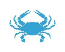 Blue Crab Free Stock Photo - Public Domain Pictures