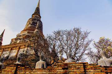 Wall Mural - Old Buddha statue in temple at Ayutthaya, Thailand