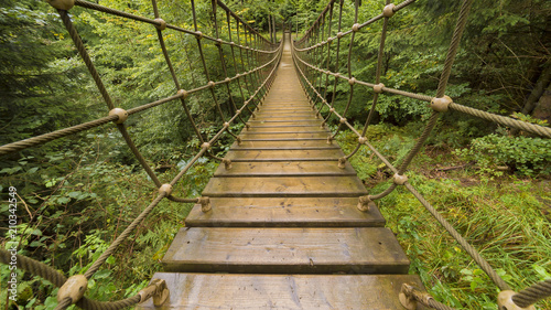 Obrazy most wiszący  wedrowka-przygodowa-po-moscie-linowym-w-lesie