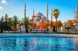 Fototapeta  - The Blue Mosque, (Sultanahmet Camii), Istanbul, Turkey.