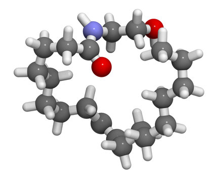 Oleoylethanolamide (OEA) endogenous peroxisome proliferator-activated receptor alpha (PPAR-α) agonist molecule. 3D rendering. Atoms are represented as spheres with conventional color.