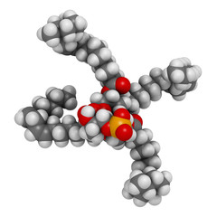 Canvas Print - Cardiolipin (tetralinoleoyl cardiolipin) molecule. Important component of the inner membrane of mitochondria. 3D rendering. Atoms are represented as spheres with conventional color.