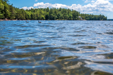 Sebago Lake State Park, Maine