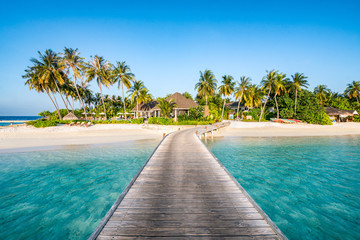 Wall Mural - einsame insel in den tropen