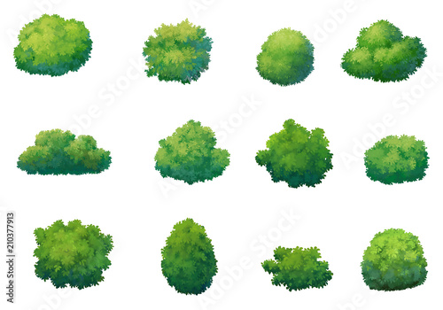 Fotografía illustration shrub for cartoon isolated on white background