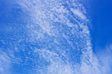 Wall Mural - Blue sky background with a tiny clouds