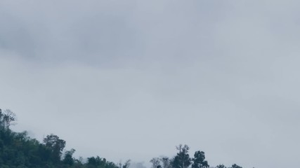 Wall Mural - Heavy mist moving over forest, time lapse