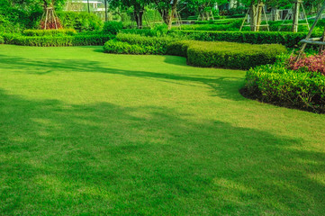 Green lawn, Blurred backyard for background, Landscaped garden.