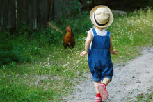 Little Girl, Dressed On Dungarees  Is Chasing A Hen On A Country Road