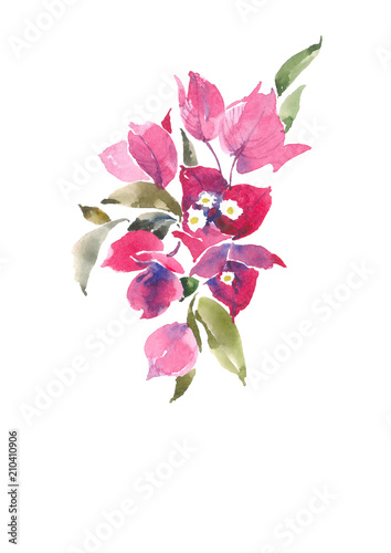 Fotomural Bougainvillea is pink. Decorative bouquet. Watercolor background.