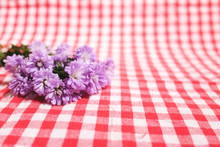 Purple Marguerite Daisy Flowers On Red Checkered Tablecloth Background.Ultra Violet For 2018.Copy Space.