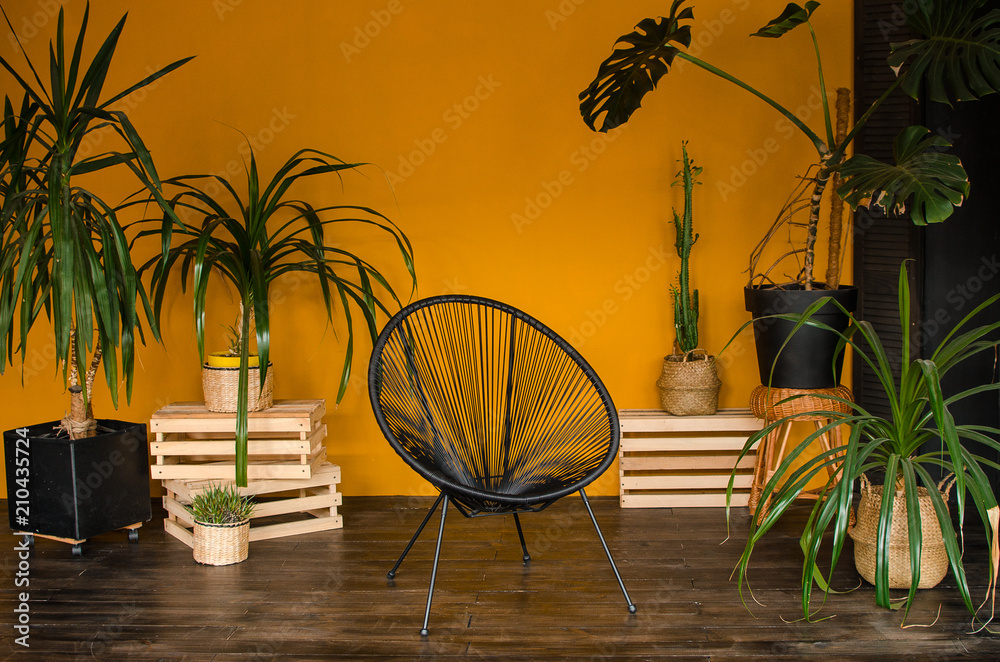 Stylish interior design with tropical leaves Stock Photo | Adobe Stock