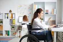 Young Disable Office Worker In Wheelchair Sitting By Desk In Front Of Laptop And Networking