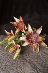  Bouquet of lily flowers on a dark coloured background
