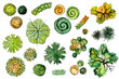 © alchena - Set of hand drawn watercolor pictorial landscape design elements: plan of different types of green, orange trees and shrubs, isolated on the white background, top view.
