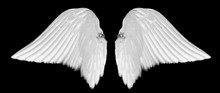White Angel Wings Isolated On Black Background