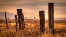 Wooden Post Barbed Wire Fence Surrounding A Field At Sunset.