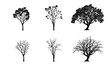 Vector set. tree silhouettes on white background. illustration.