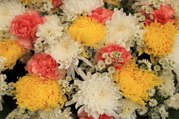 Wall Mural - Colorful flowers arranged as a natural background image with white, yellow and pink blossoms.