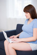 © Di Studio - portrait of pregnant woman using laptop in living room