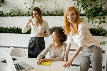 Cheerful professional multiracial women working in modern office