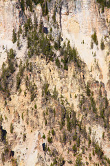 Wall Mural - Yellowstone canyon