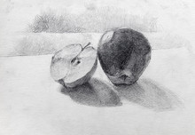 fruit-pencil-sketch-free-stock-photo-public-domain-pictures