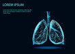 human lungs. Abstract image of a starry sky or space, consisting of points, lines, and shapes in the form of planets, stars and the universe. Low poly vector