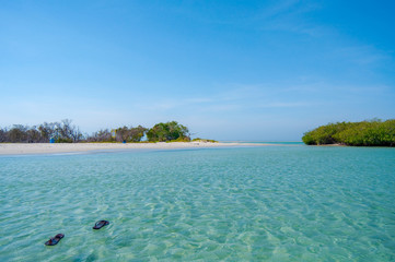 Wall Mural - clear water beach