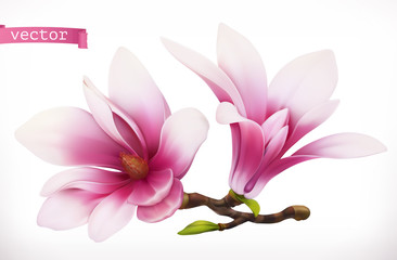 Wall Mural - Magnolia. 3d realistic vector icon