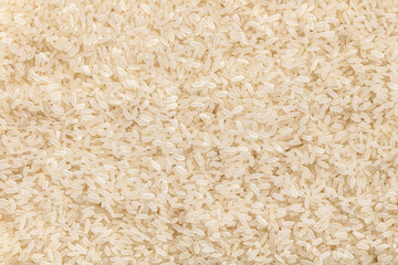 Canvas Print - raw rice texture closeup