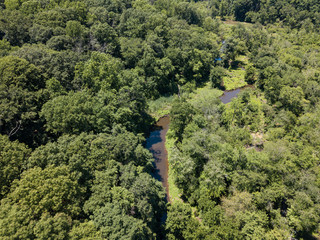 A small brook flows through a wild forest during summer time as shown from above