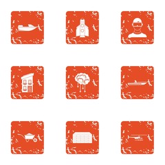 Poster - Detached house icons set. Grunge set of 9 detached house vector icons for web isolated on white background