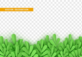 Wall Mural - grass, shape plant leaves border isolated with transparent background. vector illustration