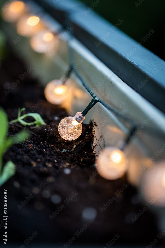 Stock-Foto Lichterkette am Blumenkasten am Abend | Adobe Stock