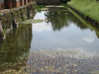 Wall Mural - Water in an old moat